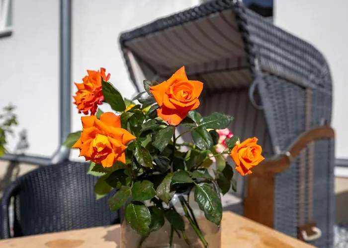 Appartements Villa Glueckspilz Ofc 27